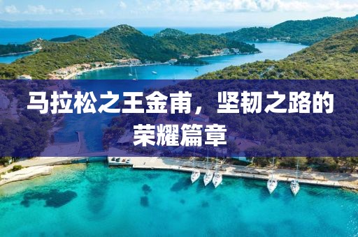 马拉松之王金甫，坚韧之路的荣耀篇章