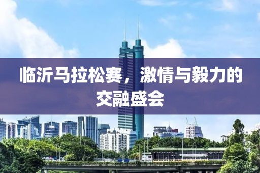 临沂马拉松赛，激情与毅力的交融盛会