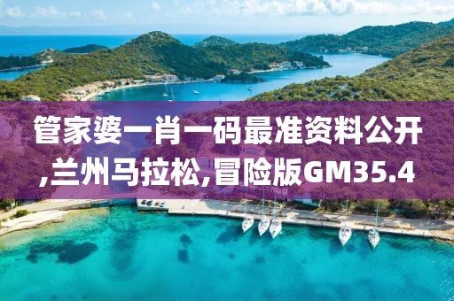 管家婆一肖一码最准资料公开,兰州马拉松,冒险版GM35.4
