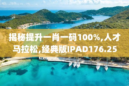 揭秘提升一肖一码100%,人才马拉松,经典版IPAD176.25