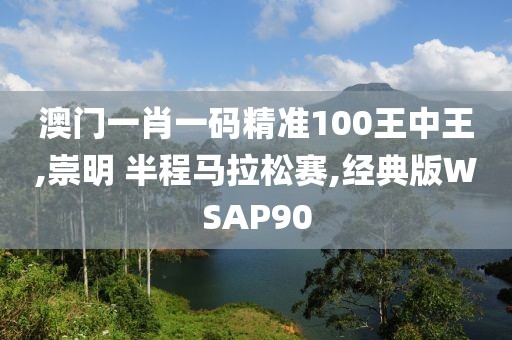 澳门一肖一码精准100王中王,崇明 半程马拉松赛,经典版WSAP90