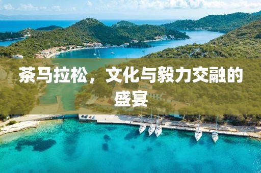 茶马拉松，文化与毅力交融的盛宴