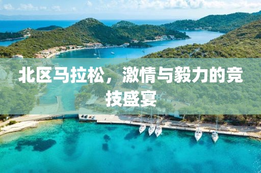 北区马拉松，激情与毅力的竞技盛宴