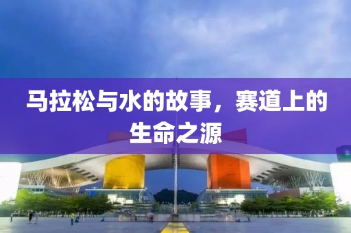 杭州国际女子马拉松 第380页