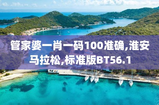 管家婆一肖一码100准确,淮安马拉松,标准版BT56.1