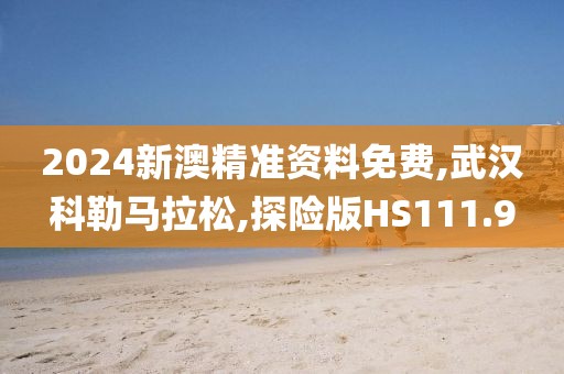2024新澳精准资料免费