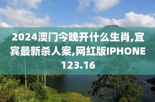 2024澳门今晚开什么生肖,宜宾最新杀人案,网红版IPHONE123.16