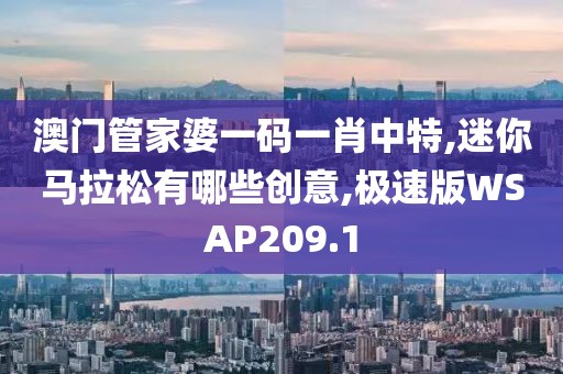 澳门管家婆一码一肖中特,迷你马拉松有哪些创意,极速版WSAP209.1