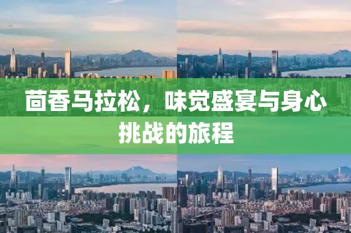 茴香马拉松，味觉盛宴与身心挑战的旅程