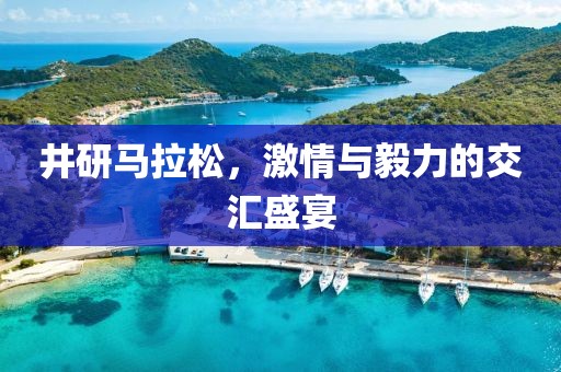 井研马拉松，激情与毅力的交汇盛宴