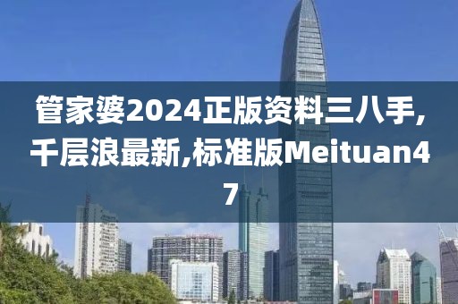管家婆2024正版资料三八手,千层浪最新,标准版Meituan47