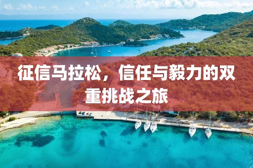 征信马拉松，信任与毅力的双重挑战之旅
