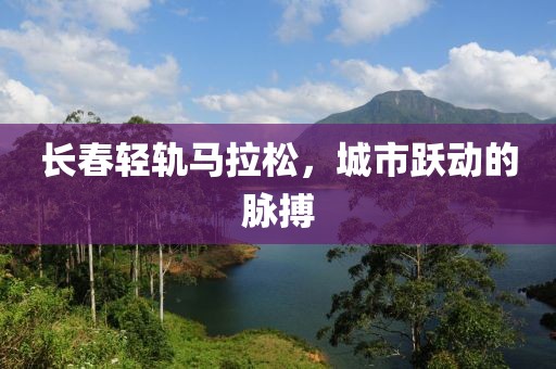 杭州女子马拉松 第315页