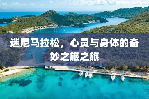 迷尼马拉松，心灵与身体的奇妙之旅之旅