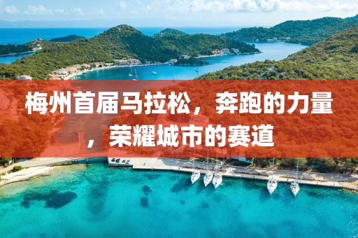 杭州马拉松报名 第307页