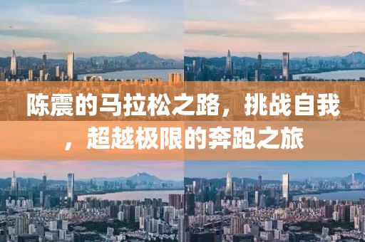陈震的马拉松之路，挑战自我，超越极限的奔跑之旅