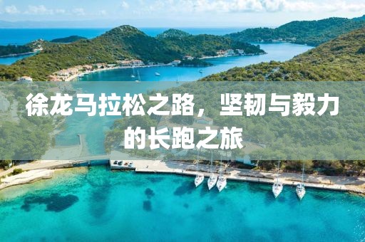 徐龙马拉松之路，坚韧与毅力的长跑之旅