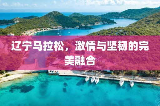辽宁马拉松，激情与坚韧的完美融合