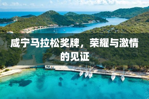 咸宁马拉松奖牌，荣耀与激情的见证