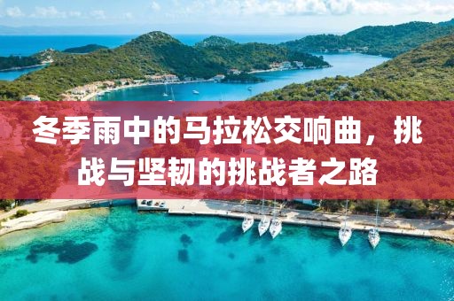 冬季雨中的马拉松交响曲，挑战与坚韧的挑战者之路