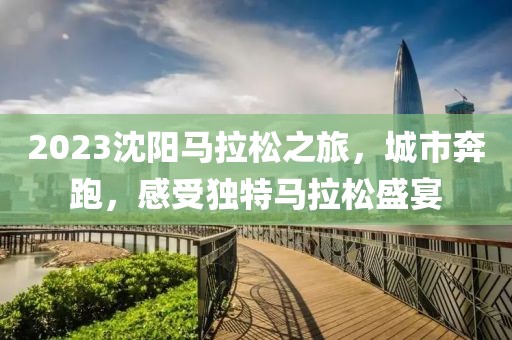 2023沈阳马拉松之旅，城市奔跑，感受独特马拉松盛宴