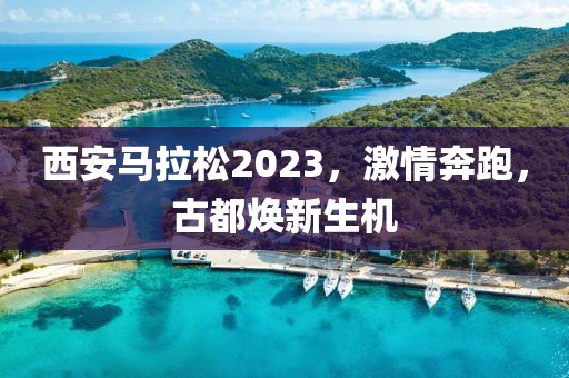 西安马拉松2023，激情奔跑，古都焕新生机