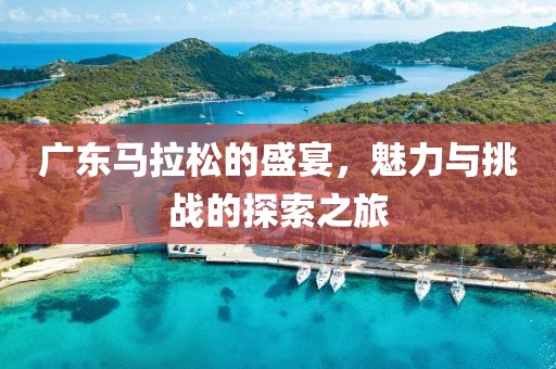 广东马拉松的盛宴，魅力与挑战的探索之旅