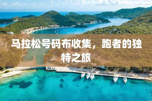 马拉松号码布收集，跑者的独特之旅