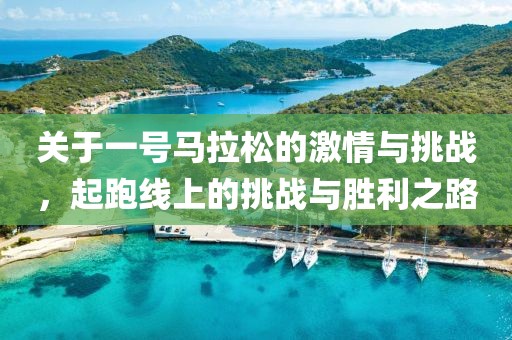 关于一号马拉松的激情与挑战，起跑线上的挑战与胜利之路