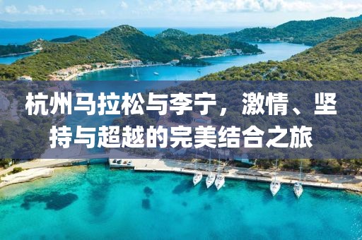杭州马拉松与李宁，激情、坚持与超越的完美结合之旅