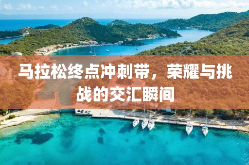 第1123页