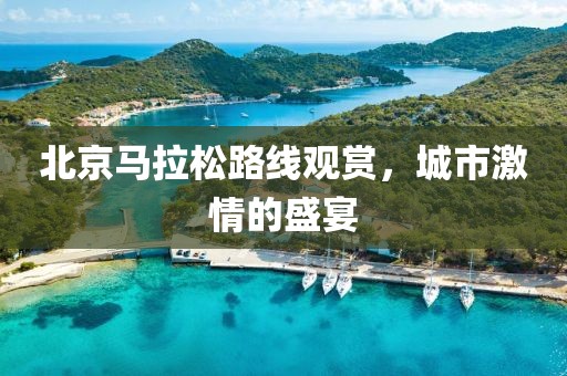 北京马拉松路线观赏，城市激情的盛宴