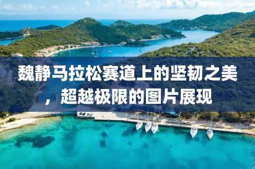 魏静马拉松赛道上的坚韧之美，超越极限的图片展现