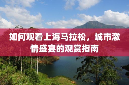 如何观看上海马拉松，城市激情盛宴的观赏指南