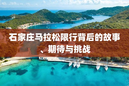 2025年3月 第329页