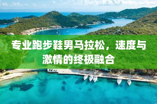 专业跑步鞋男马拉松，速度与激情的终极融合
