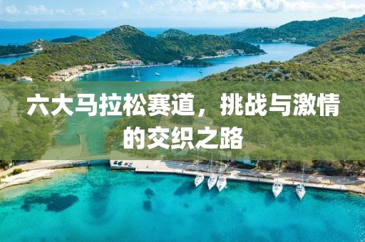 六大马拉松赛道，挑战与激情的交织之路
