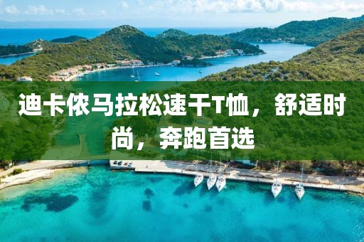迪卡侬马拉松速干T恤，舒适时尚，奔跑首选
