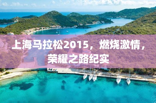 上海马拉松2015，燃烧激情，荣耀之路纪实