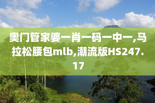 奥门管家婆一肖一码一中一,马拉松腰包mlb,潮流版HS247.17