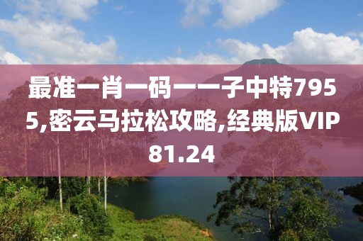 最准一肖一码一一子中特7955,密云马拉松攻略,经典版VIP81.24