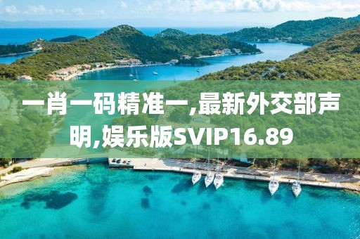 一肖一码精准一,最新外交部声明,娱乐版SVIP16.89
