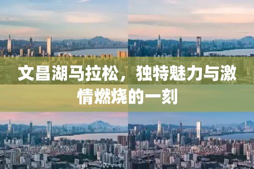 杭州国际女子马拉松 第95页