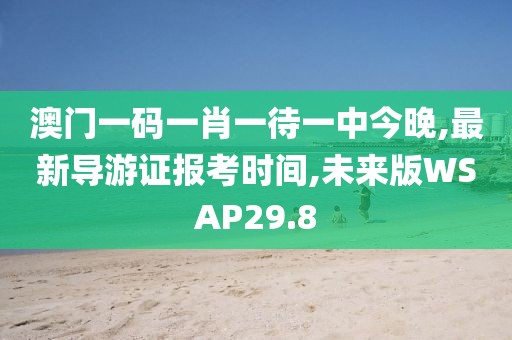 澳门一码一肖一待一中今晚,最新导游证报考时间,未来版WSAP29.8