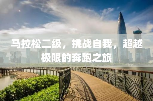 马拉松二级，挑战自我，超越极限的奔跑之旅