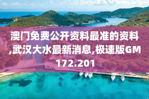 澳门免费公开资料最准的资料,武汉大水最新消息,极速版GM172.201