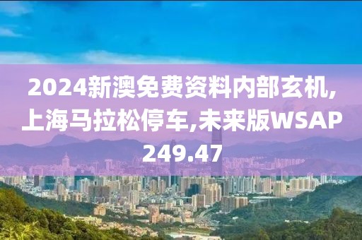 2024新澳免费资料内部玄机,上海马拉松停车,未来版WSAP249.47
