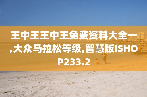 王中王王中王免费资料大全一,大众马拉松等级,智慧版ISHOP233.2