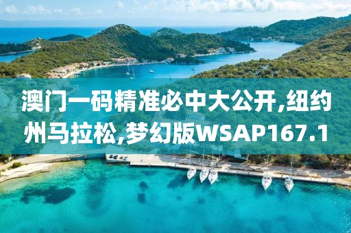 澳门一码精准必中大公开,纽约州马拉松,梦幻版WSAP167.1