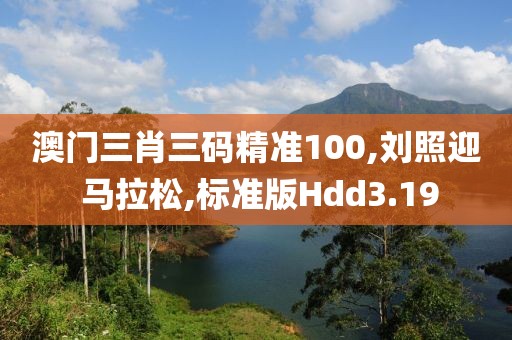 澳门三肖三码精准100,刘照迎 马拉松,标准版Hdd3.19